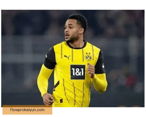 布伦特福德青训实力持续提升，年轻球员备受关注与期待